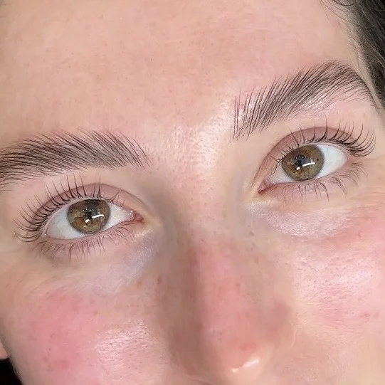 Both brows laminated and fluffy, lifted lashes visible below